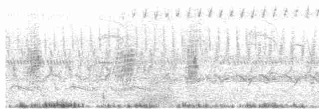 Kuzeyli Sert Kanatlı Kırlangıç - ML571812091