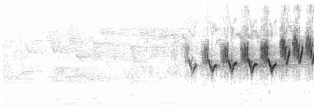 Cerulean Warbler - ML571831391