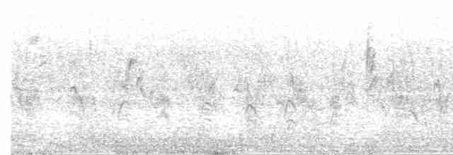 Great Reed Warbler - ML571835331