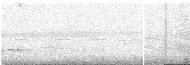 White-sided Flowerpiercer - ML571835521