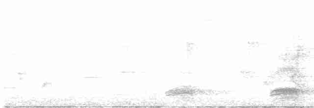 vrána černobílá - ML571836961