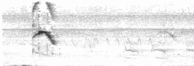 Тапіранга білодзьоба - ML571901551