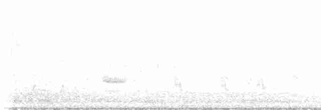 Kalifornienspottdrossel - ML571922021