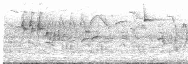 Great Reed Warbler - ML57193311