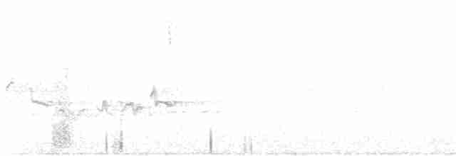 Paruline à gorge orangée - ML571935691