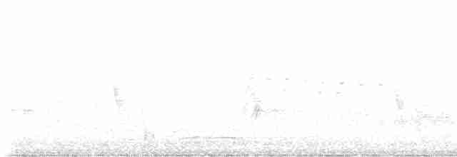 Kalifornienspottdrossel - ML571936341