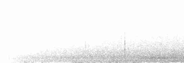 Troglodyte de Baird - ML571950391