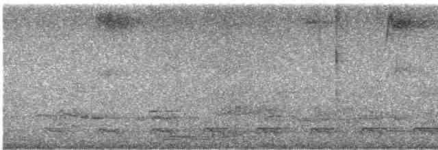 Желтобрюхий трогон - ML571959011