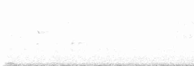 ムナジロアマツバメ - ML571965851