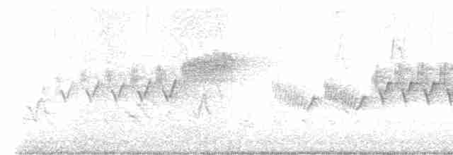 Cerulean Warbler - ML572071211