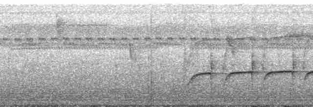 Rufous-tailed Jacamar (Black-chinned) - ML57208