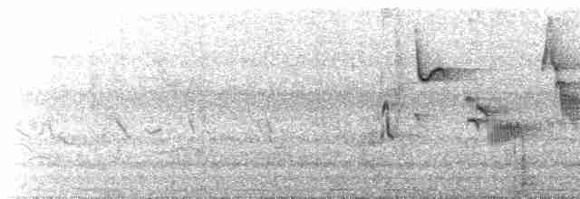Turuncu Gagalı Bülbül Ardıcı - ML572113151