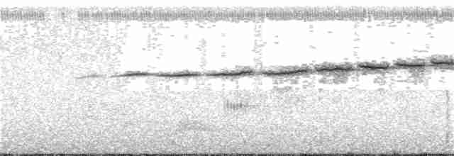 Prairie Warbler - ML57213061