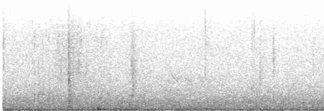 Короткоклювый бекасовидный веретенник - ML572138481