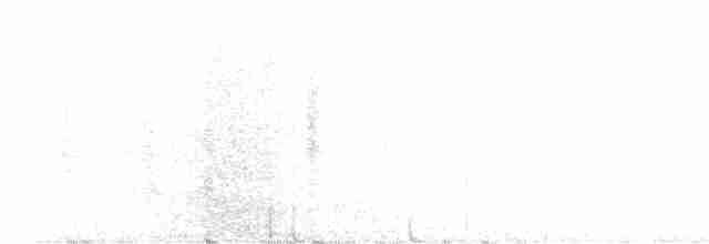 Buff-collared Nightjar - ML572145651