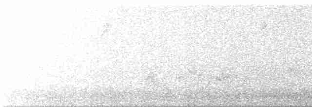 Белобровая овсянка (leucophrys/oriantha) - ML572147301