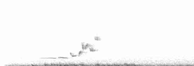 Manchurian Bush Warbler - ML572148051
