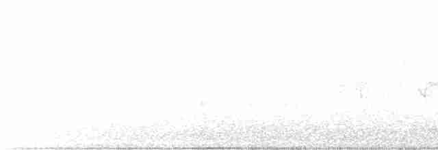 Canada Warbler - ML572157661
