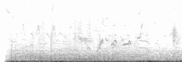 tyranovec vrbový - ML572157981