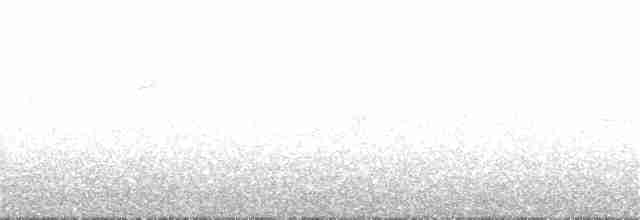 Black-throated Gray Warbler - ML57219261