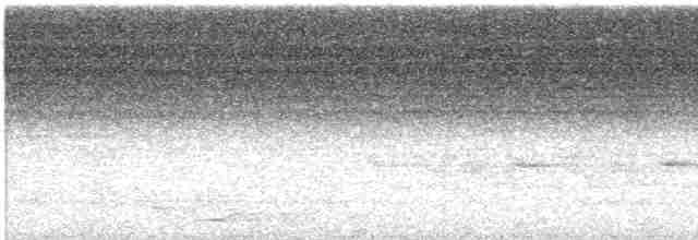 キノドヒメゴシキドリ - ML572203691