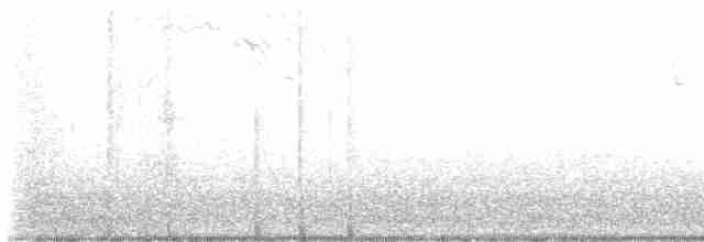 Yellow Warbler (Northern) - ML572228581