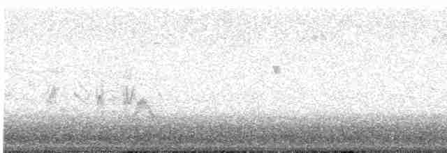 Braunaugenvireo (pusillus) - ML572303751