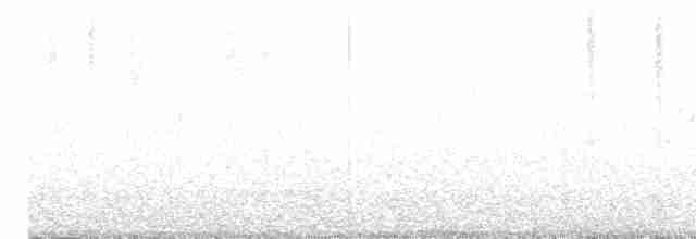 Sulphur-bellied Warbler - ML572347631