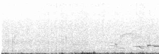 Black-naped Oriole - ML572349571