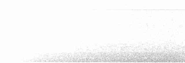 Ошейниковый зимородок - ML572371481