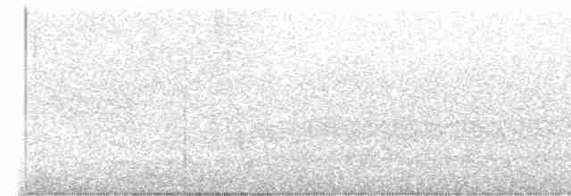 Тасманийский ворон - ML572380231