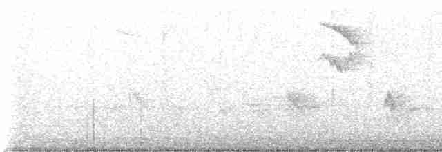 Gray-streaked Flycatcher - ML572385181