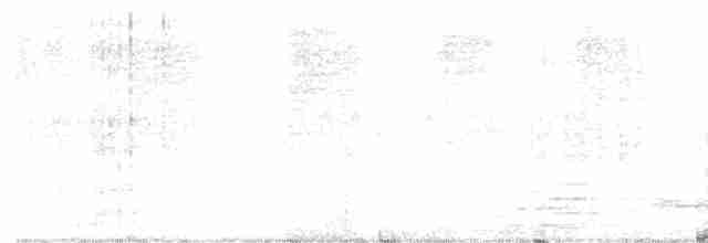 luňák bělohlavý - ML572389381