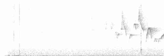 Canada Warbler - ML572404521