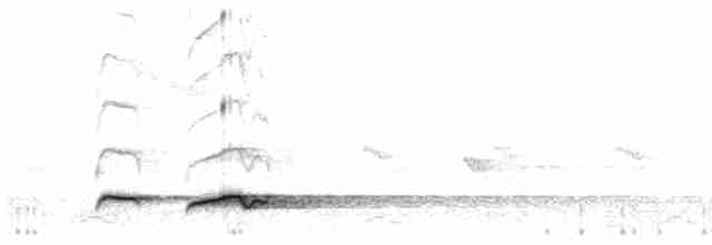 Büyük Atmaca Guguğu - ML572409161