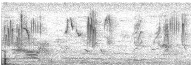 Tel Kuyruklu Kırlangıç - ML572416471