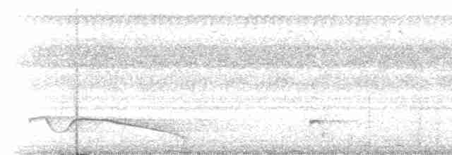 Riesennachtschwalbe - ML572419481
