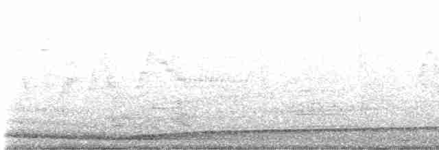 Дрізд-короткодзьоб малий - ML572457851