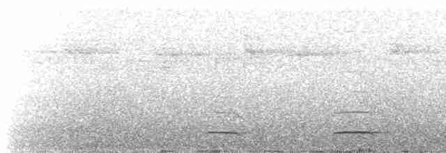 Сичик-горобець болівійський - ML572462431
