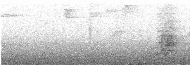 Сливоголовый амазонет - ML572469531