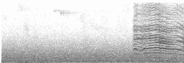 Сливоголовый амазонет - ML572469541