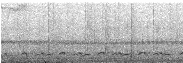 Lyre-tailed Nightjar - ML572479161
