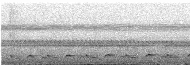 Leierschwanz-Nachtschwalbe - ML572479171
