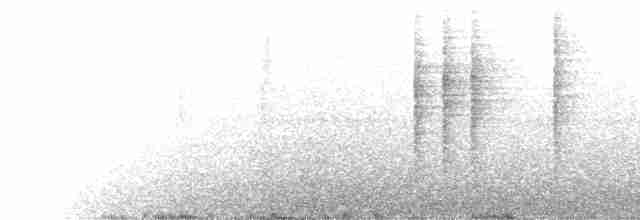 Gri Göğüslü Çıtkuşu - ML572487521