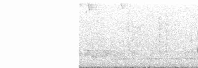Белоглазый виреон - ML572490021