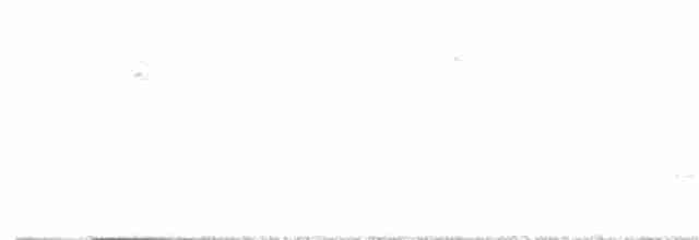 Canada Warbler - ML572493571