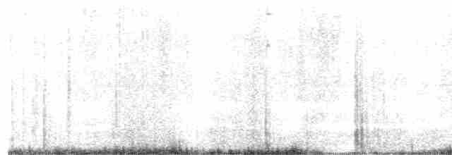 Breitspiegel-Nachtschwalbe - ML572506191