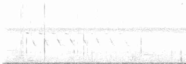 Bruant des pinèdes - ML572513111