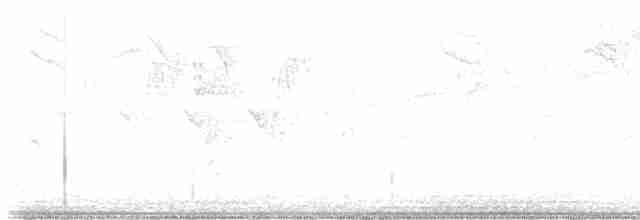 Reinita Protonotaria - ML572513971