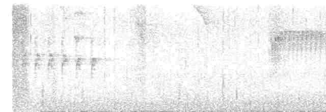 Ockerstirn-Blattspäher - ML572532281